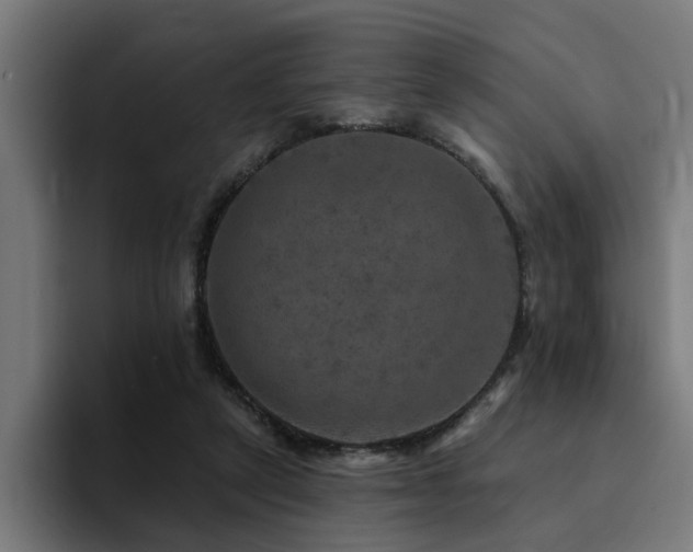 X0000094460257200711081331