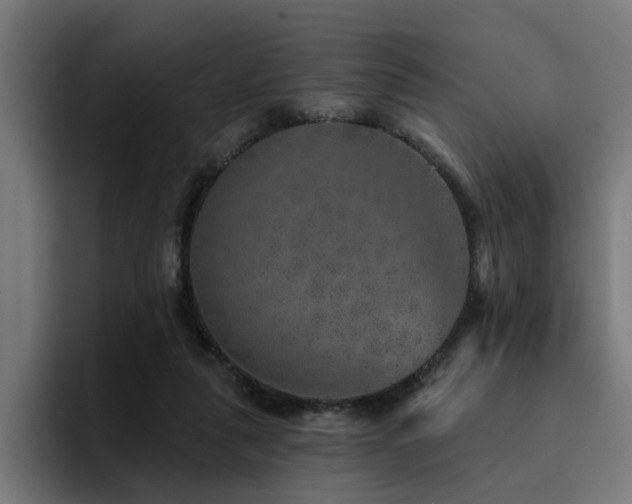 X0000094460259200711081331