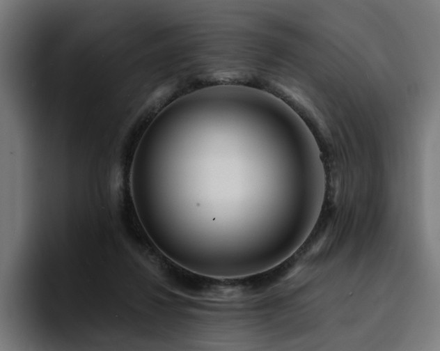 X0000094460260200711081331