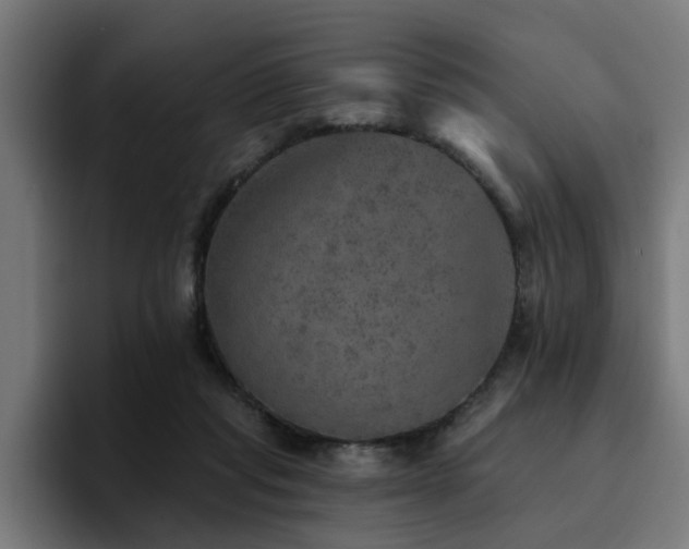 X0000094460261200711081331