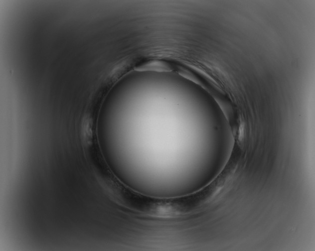 X0000094460264200711081331