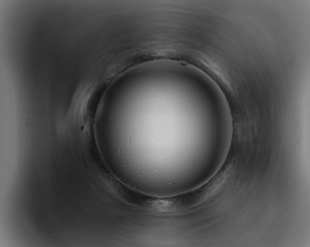 X0000094460265200711081331
