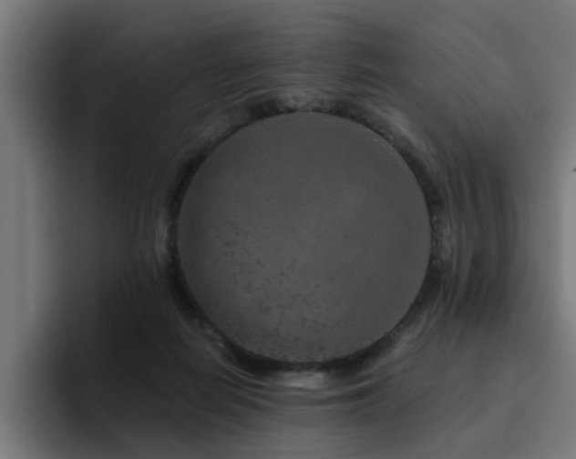X0000094460266200711081331