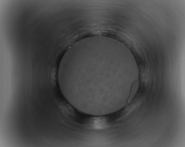 X0000094460275200711081331