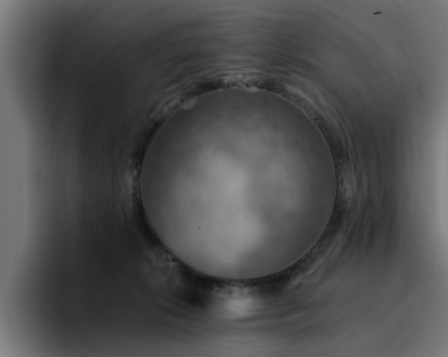 X0000094460276200711081331