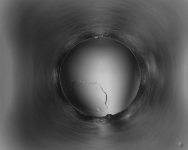 X0000094460279200711081331