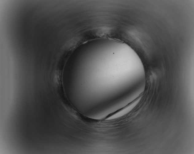 X0000094460280200711081331
