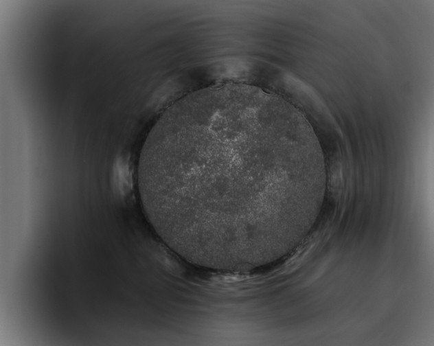 X0000094460282200711081331