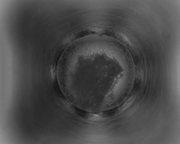 X0000094460285200711081331