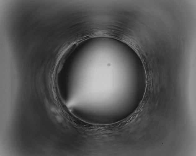 X0000094460289200711081331
