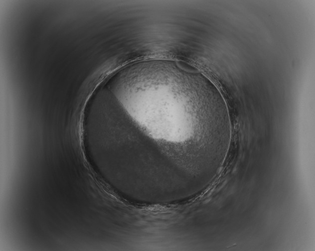 X0000094460290200711081331