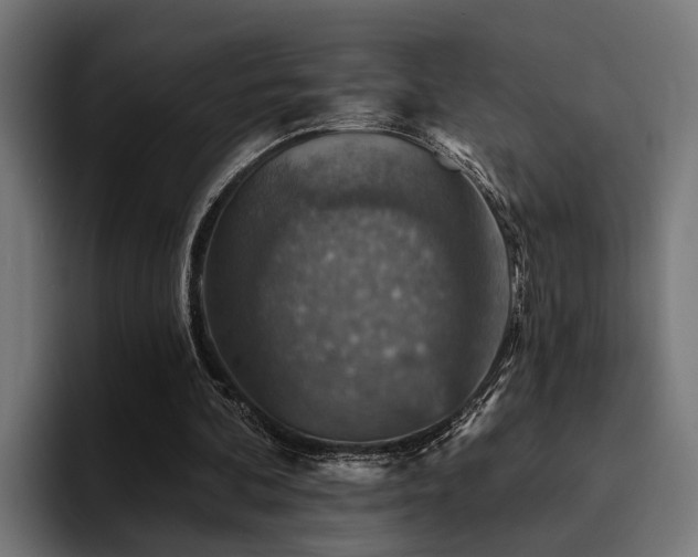 X0000094460292200711081331