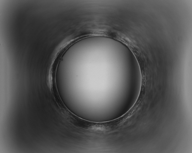 X0000094460294200711081331