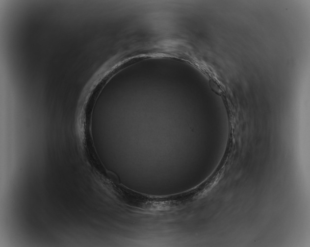 X0000094460295200711081331