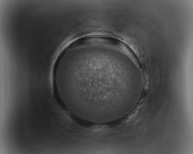 X0000094460296200711081331
