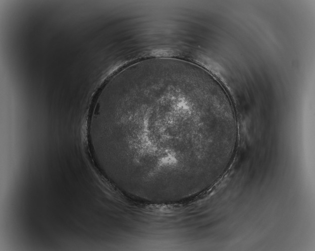 X0000094460297200711081331