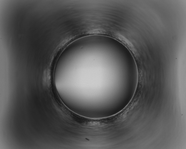 X0000094460298200711081331