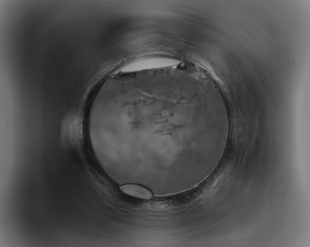 X0000094460299200711081331