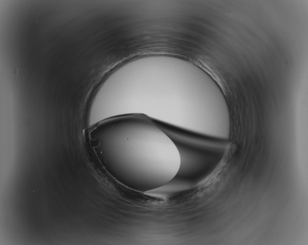 X0000094460301200711081331