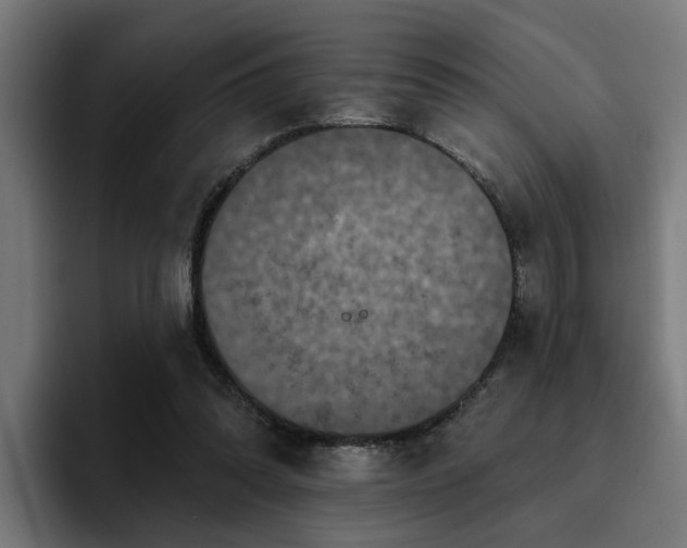 X0000094460302200711081331