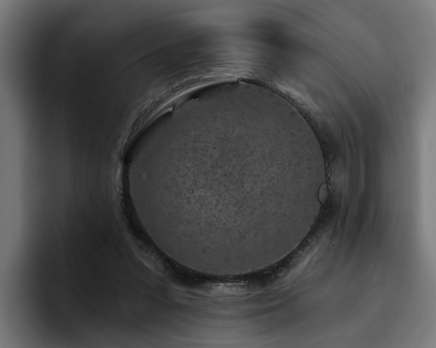 X0000094460303200711081331