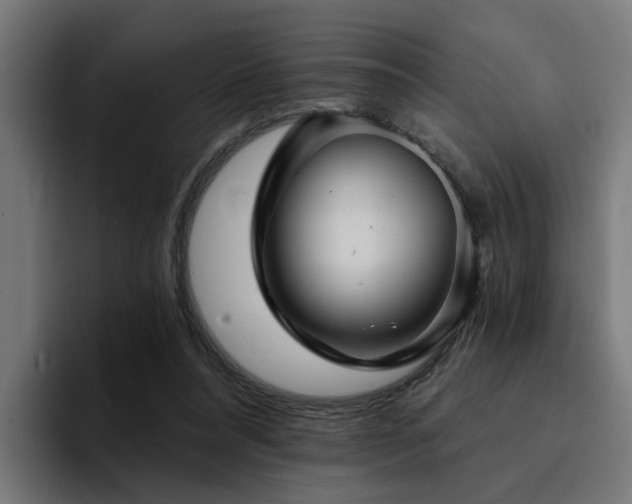 X0000094460304200711081331