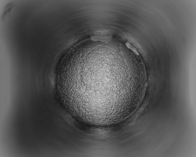 X0000094460305200711081331
