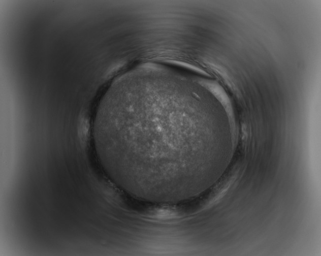 X0000094460308200711081330