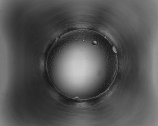 X0000094460309200711081330