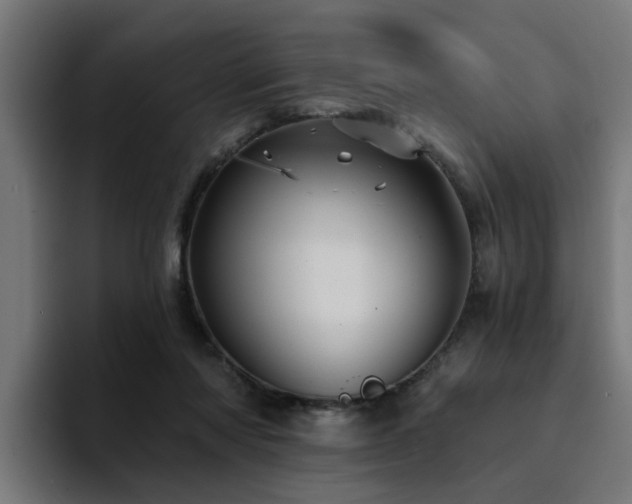 X0000094460310200711081330