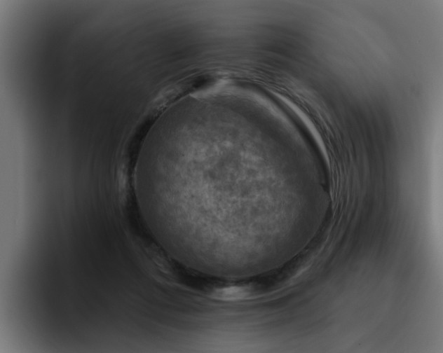 X0000094460312200711081330