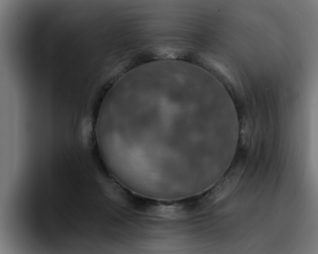X0000094460314200711081330