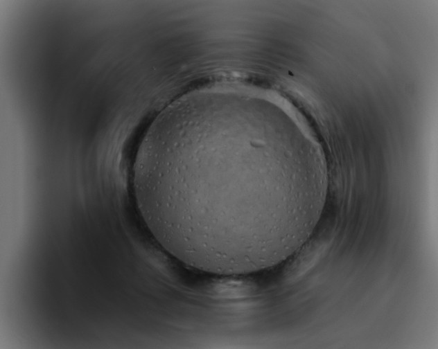 X0000094460315200711081330