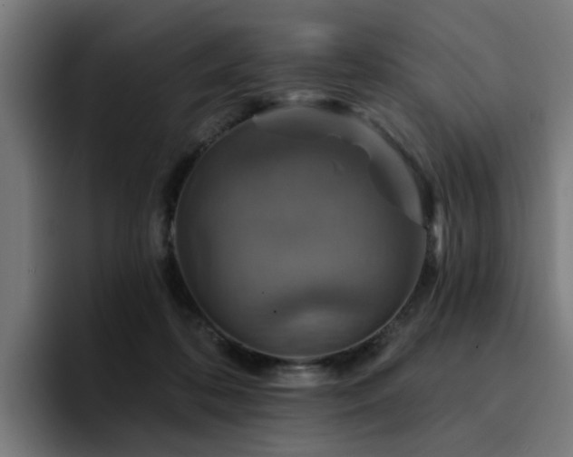 X0000094460316200711081330