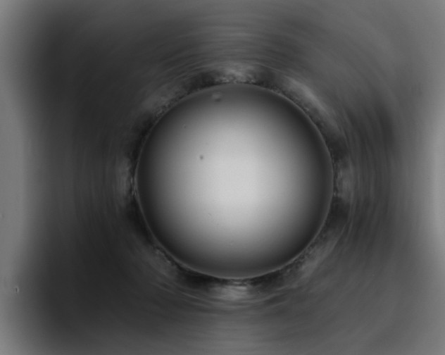 X0000094460318200711081330