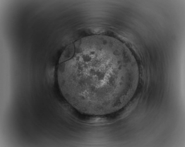 X0000094460319200711081330