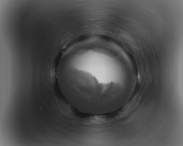 X0000094460320200711081330