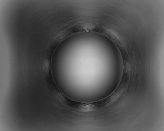 X0000094460321200711081330