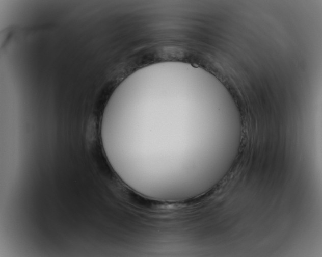 X0000094460323200711081330