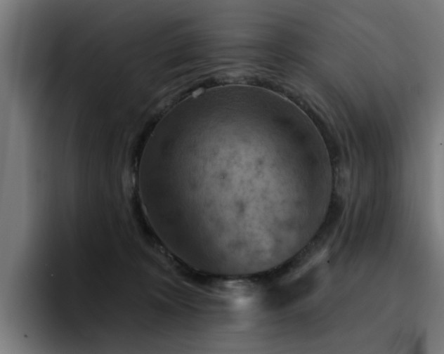 X0000094460324200711081330