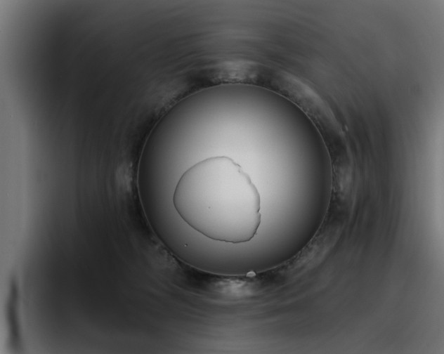 X0000094460326200711081330