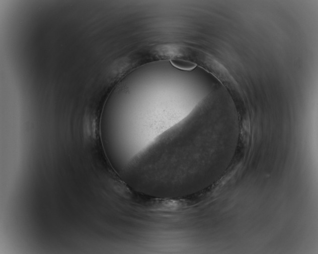 X0000094460330200711081330