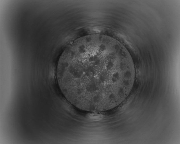 X0000094460331200711081330
