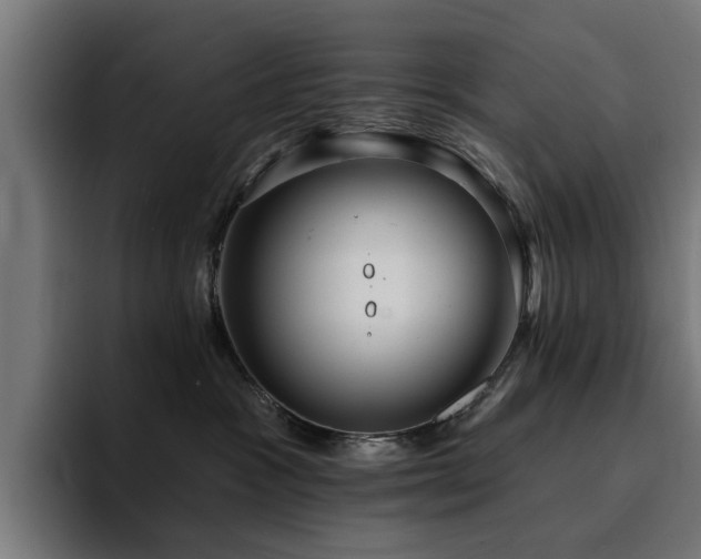 X0000094460333200711081330