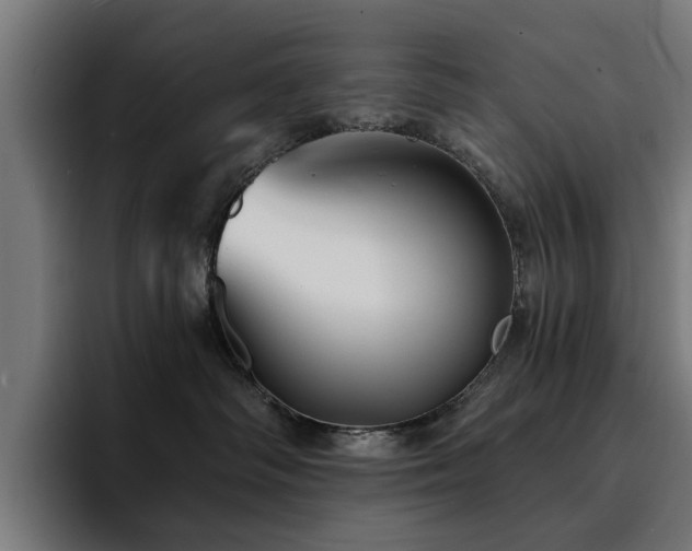X0000094460334200711081330