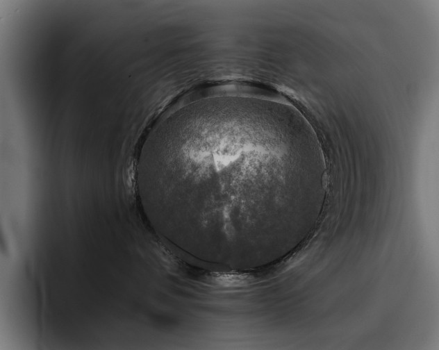 X0000094460336200711081330