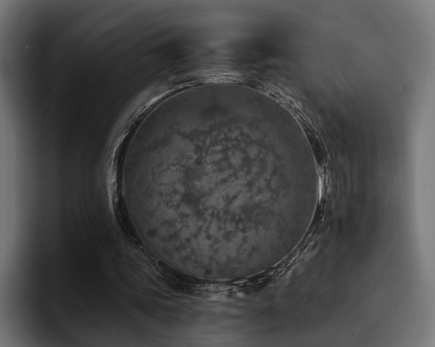 X0000094460339200711081330