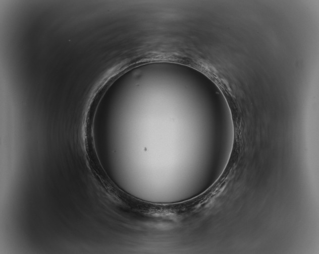 X0000094460340200711081330