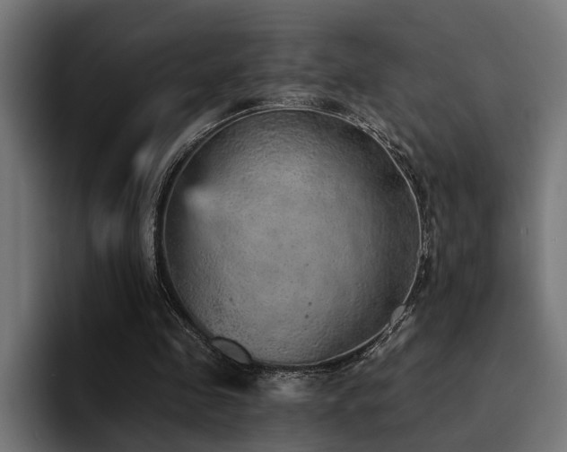 X0000094460341200711081330