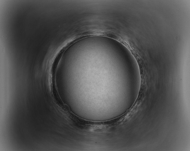 X0000094460342200711081330
